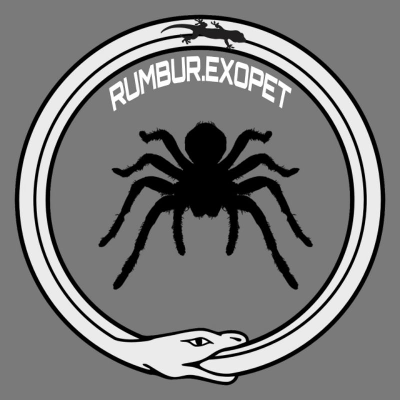 MAINAN KURA KURA BULUS BABY