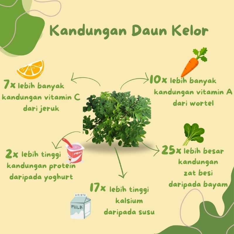 

Daun kelor paket 5k