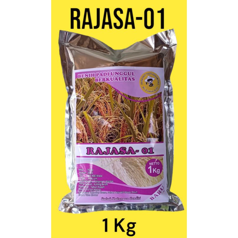 Benih Padi Rajasa 01 Original Aceh (1Kg)