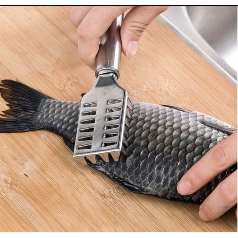 Alat Pembersih Sisik Ikan Kerokan Sisik Ikan Bahan Stainless