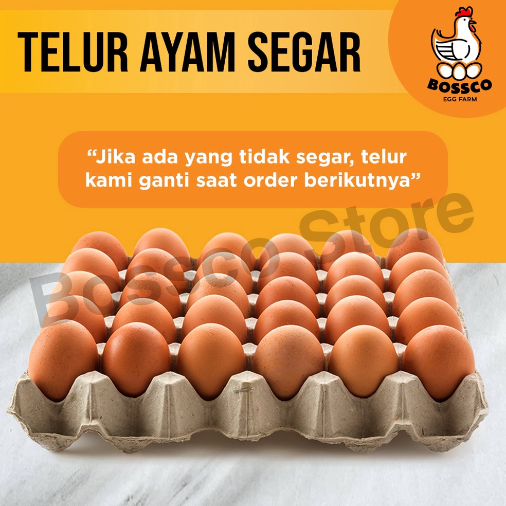 

New event Telur Ayam Negeri FRESH telor ayam negri per 1 tray telur ayam premium telor ayam premium telur segar telur ayam segar telur organik telur bebas bakteri telor ayam segar telor organik telor ayam segar telur omega telor omega
