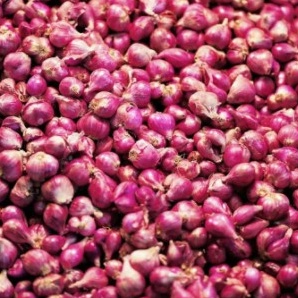 

LVMD8914 READY STOK Bawang Merah Kecil 5 gr