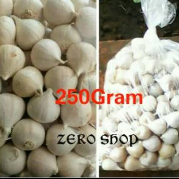 

KVCL6338 Terbaru Bawang Putih TunggalBawang Lanang Alami 25 GR