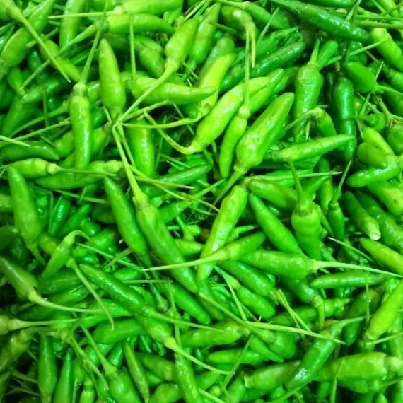 

ZGBH1877 Stok terbaru Cabai Cabe Rawit Hijau 5 gr