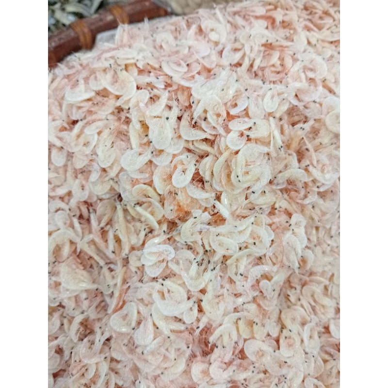 

Udang rebon atau udang kacepe tawar dan kasar