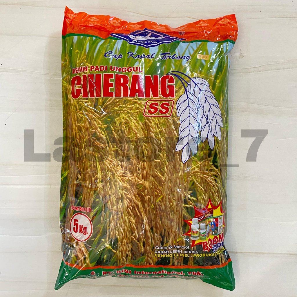 Benih Padi Unggul CIHERANG SS 5 Kg Benih BISI Cap Kapal Terbang
