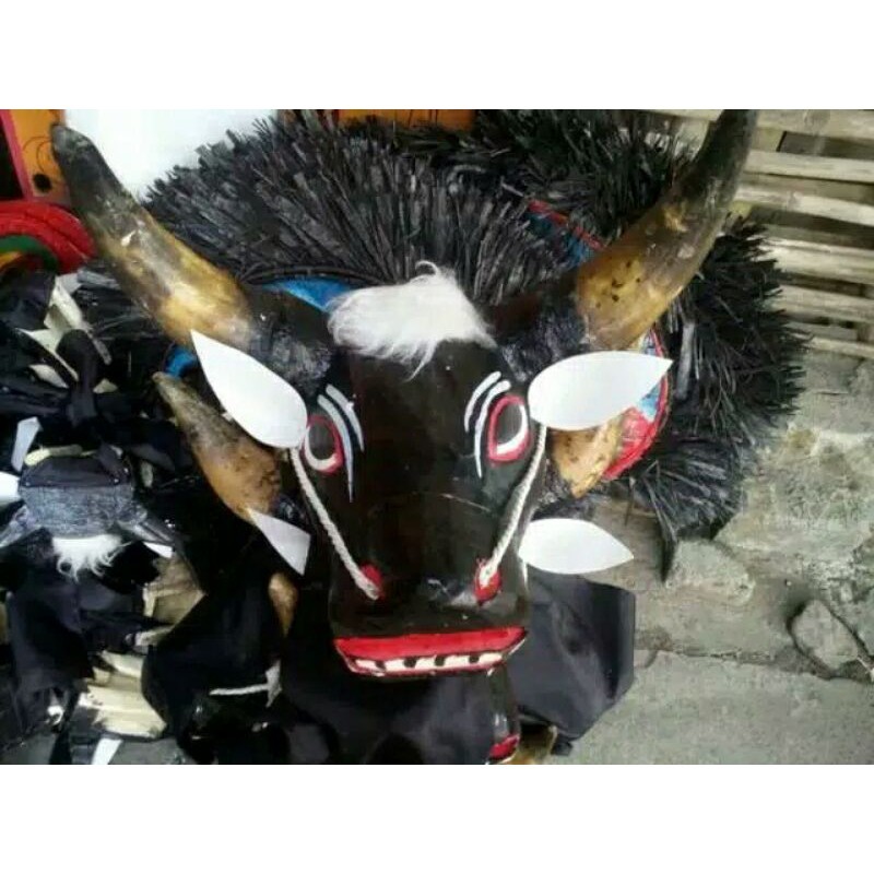 BANTENG TANDUK ASLI / BANTENGAN ASLI SUNGU SAPI MURAH + KEMUL