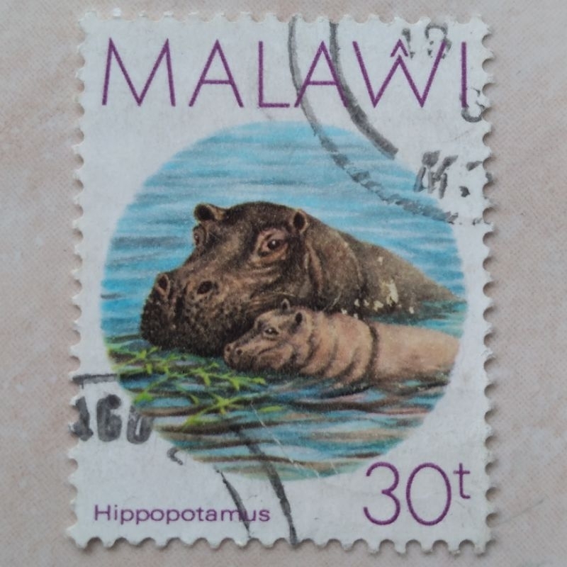 

Perangko Prangko Kuno Malawi Hippopotamus 1987 - YN988