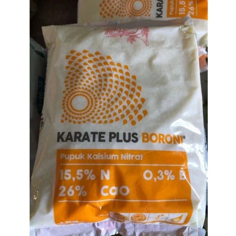 KARATE PLUS BORONI 1KG