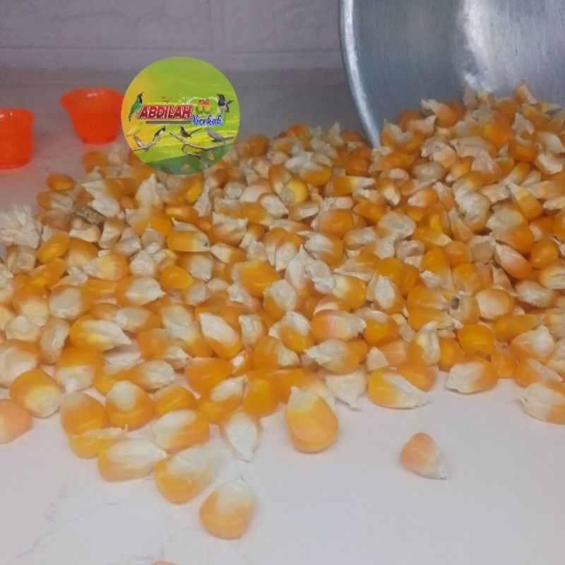 jagung lokal pakan makanan tekukur puter ayam petelur bebek petelur dll 500 gram abdilah berkah
