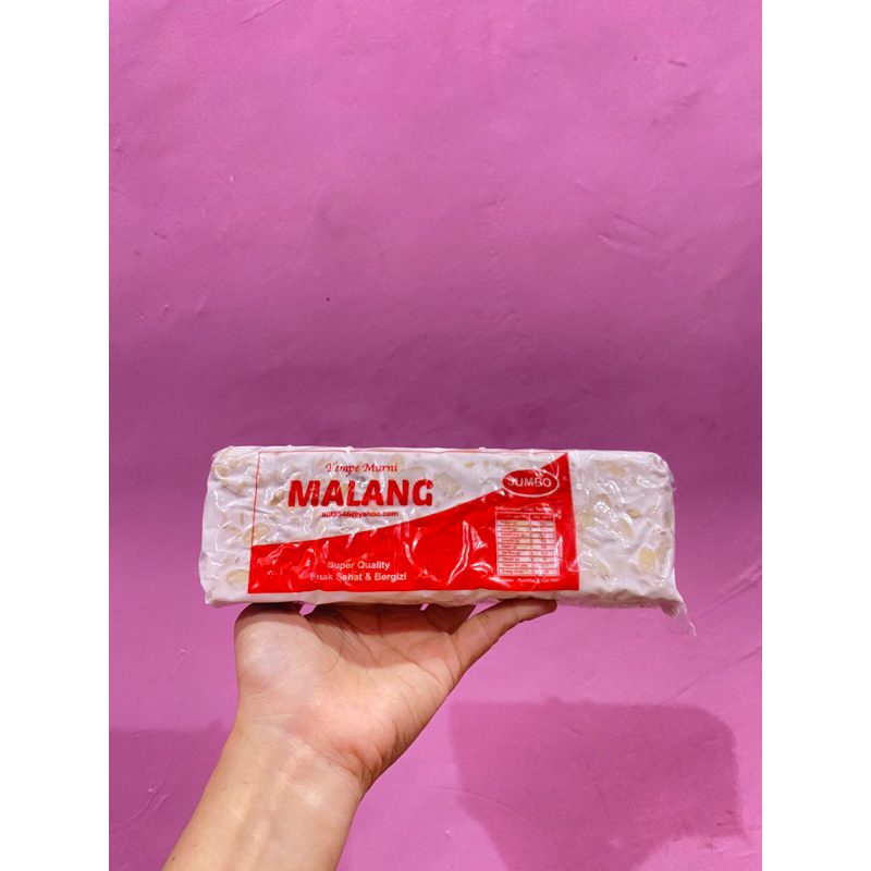 

tempe kedelai 1 lonjor