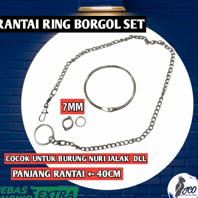 RANTAI RING BORGOL SET RANTAI BORGOL KAKI BURUNG NURI 7MM
