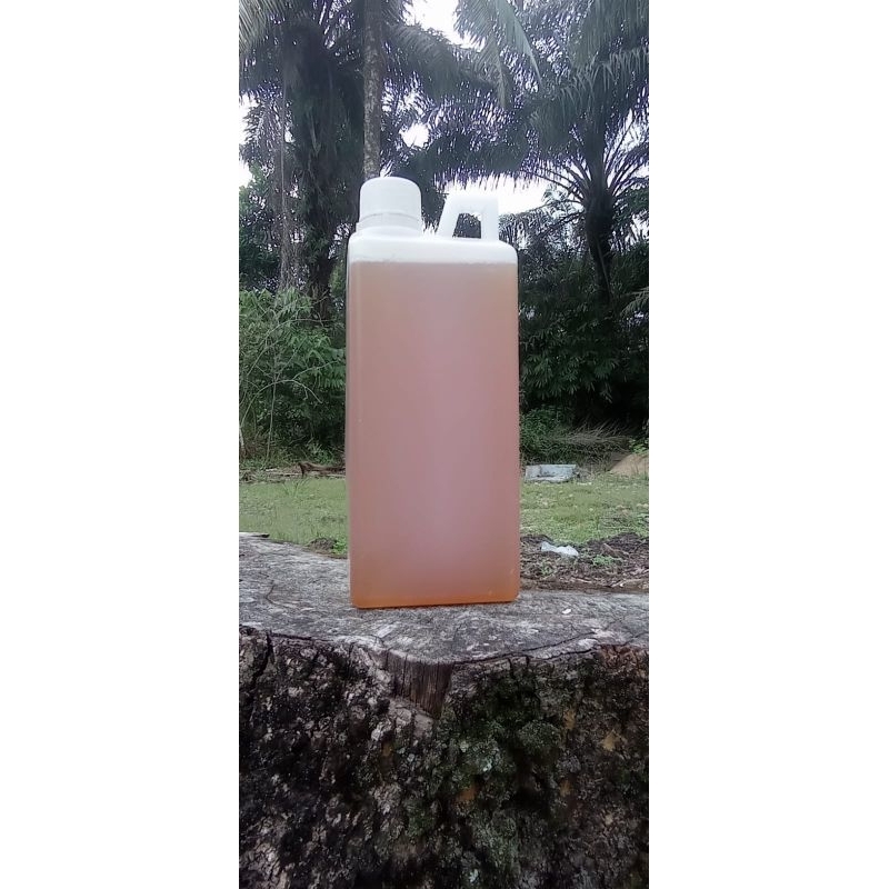 

Madu Lebah liar 1ltr