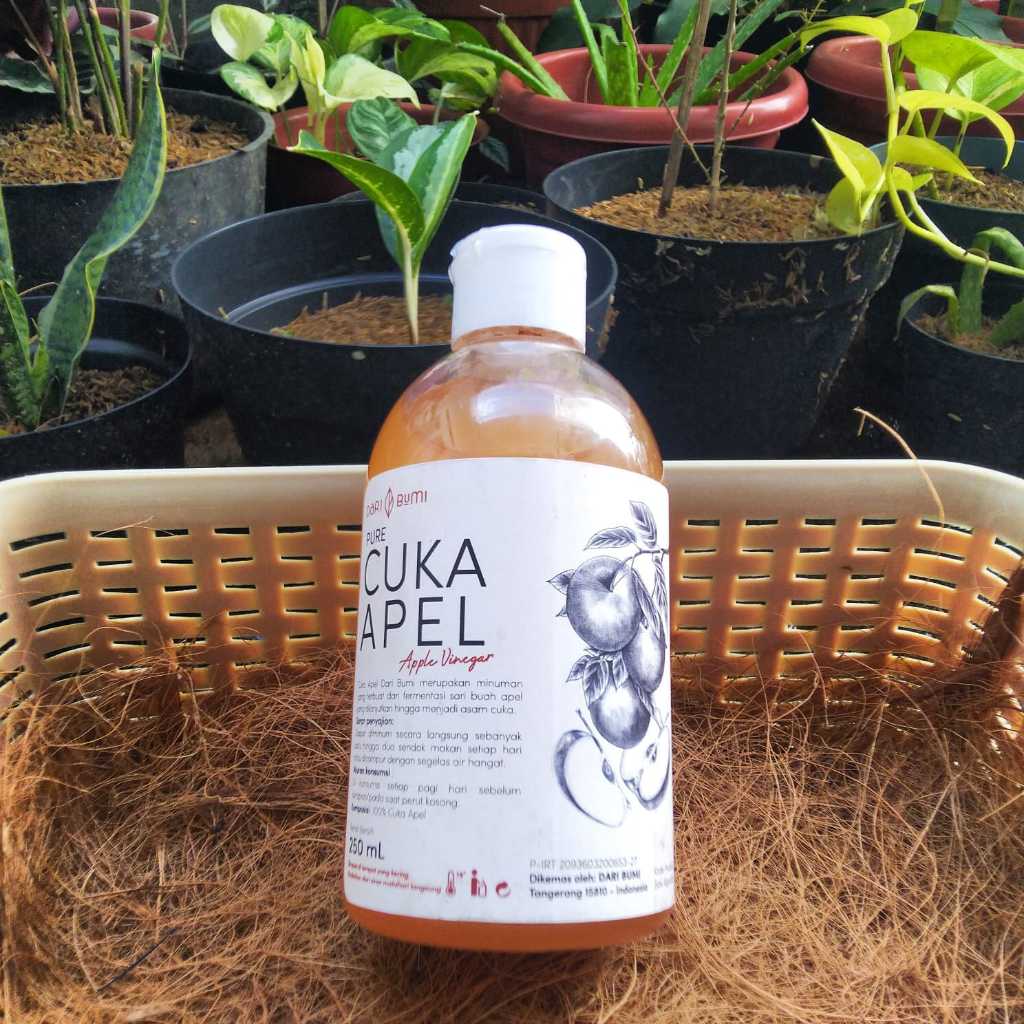 

Cuka Apel Asli Pure Original Minuman Diet by Dari Bumi 250ml - 500ml