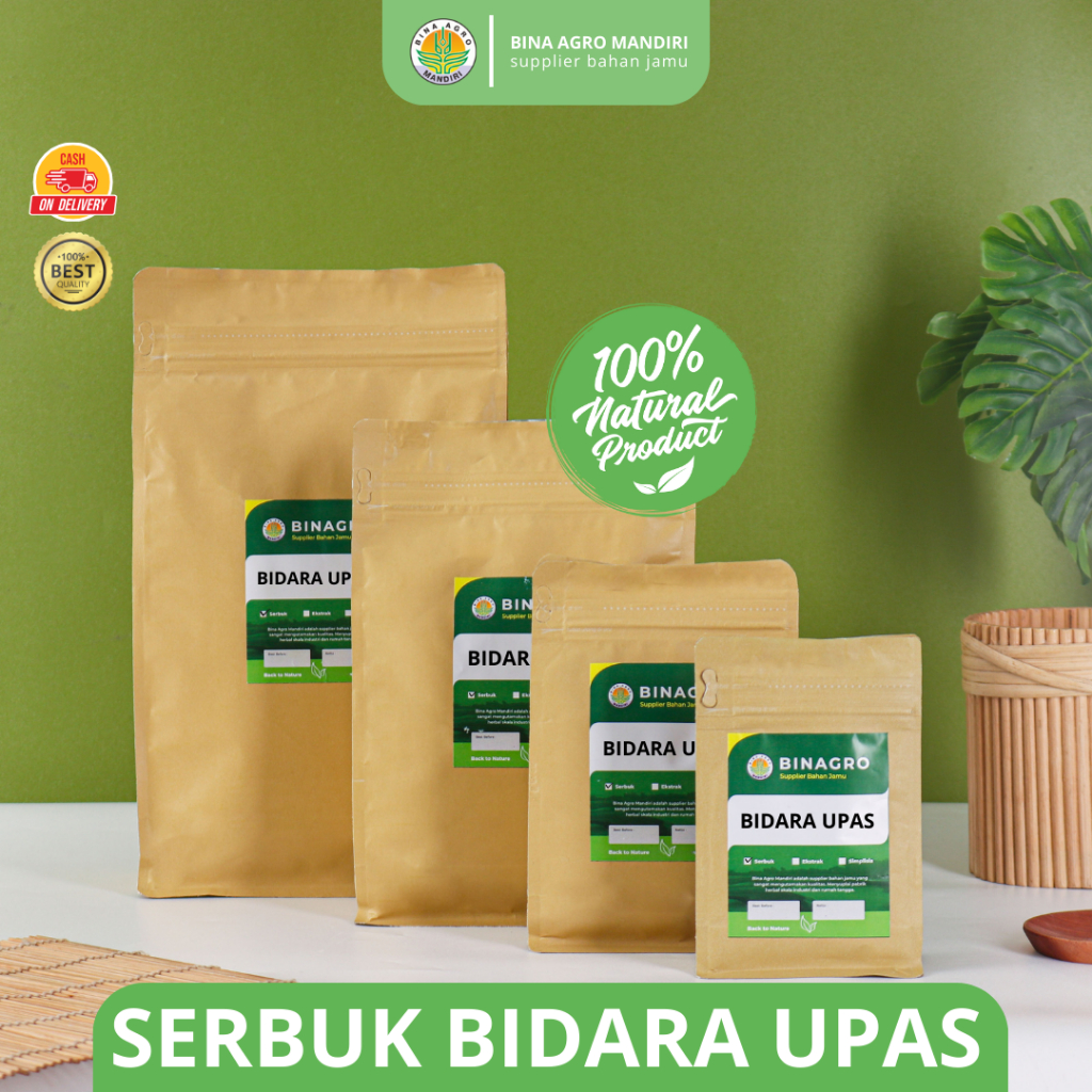 BIDARA UPAS Serbuk Bubuk Jamu Bidara Upas Murni Tanpa Campuran 100gr 250gr 500gr 1kg Premium Binagro