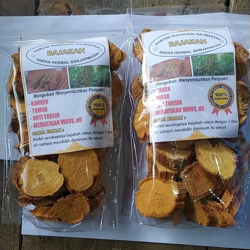 

Obat herbal kayu bajakah kalimantan