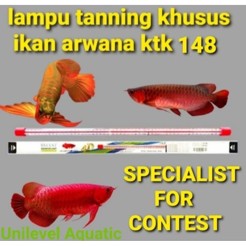 LAMPU TANNING SUPER MEGAH 4D RECENT KTK 148 TERLARIS