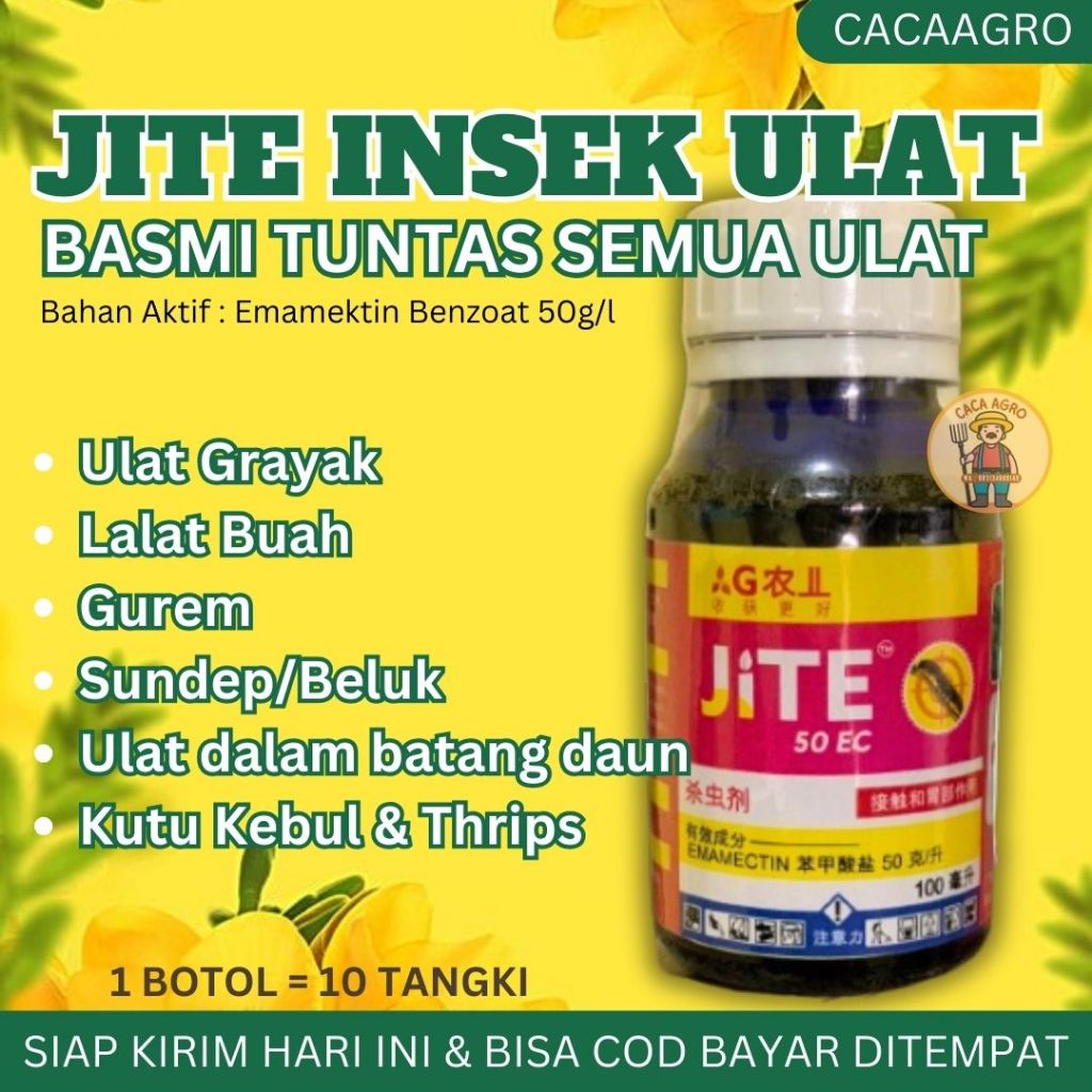 Jite Insektisida Pembasmi Hama Ulat Grayak Ulat Buah Sundep Gurem Thrips Dan Penggerek Batang Obat H