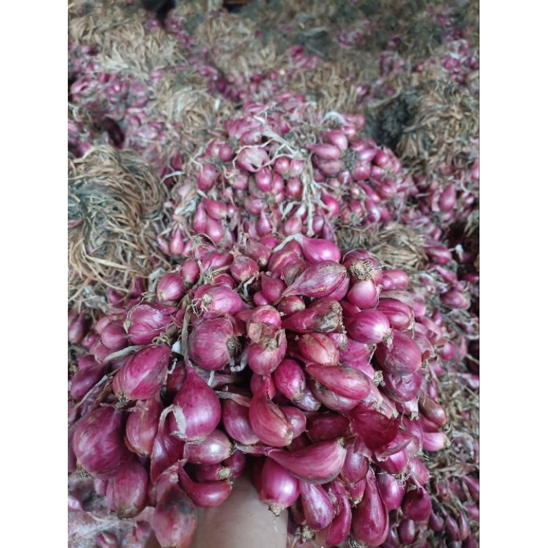 

BAWANG MERAH SUPER ASLI BREBES 1KG