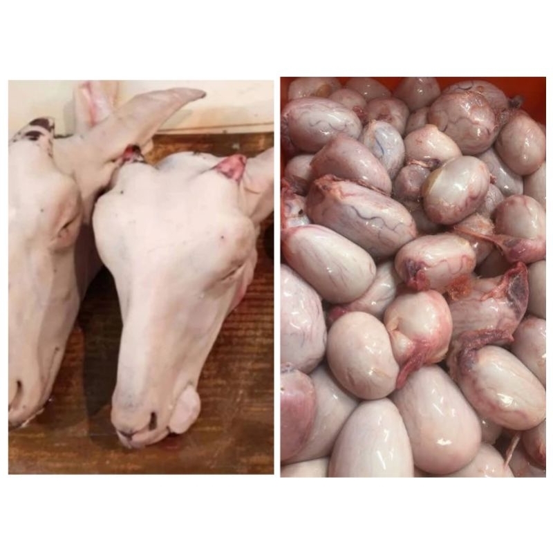 

Kepala Kambing Bersih - 1 kepala
