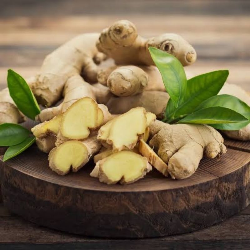 

Temu Putih 1kg Kunyit Putih Temulawak Putih Herbal