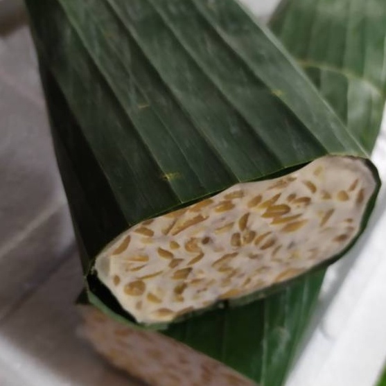 

ZCQT8857 PALING AMPUH Tempe6 gram