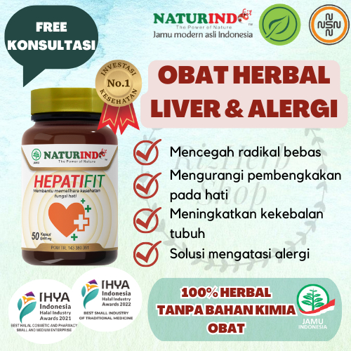 Obat Herbal Gatal Biduran Alergi Hepatitis Hepatifit Naturindo