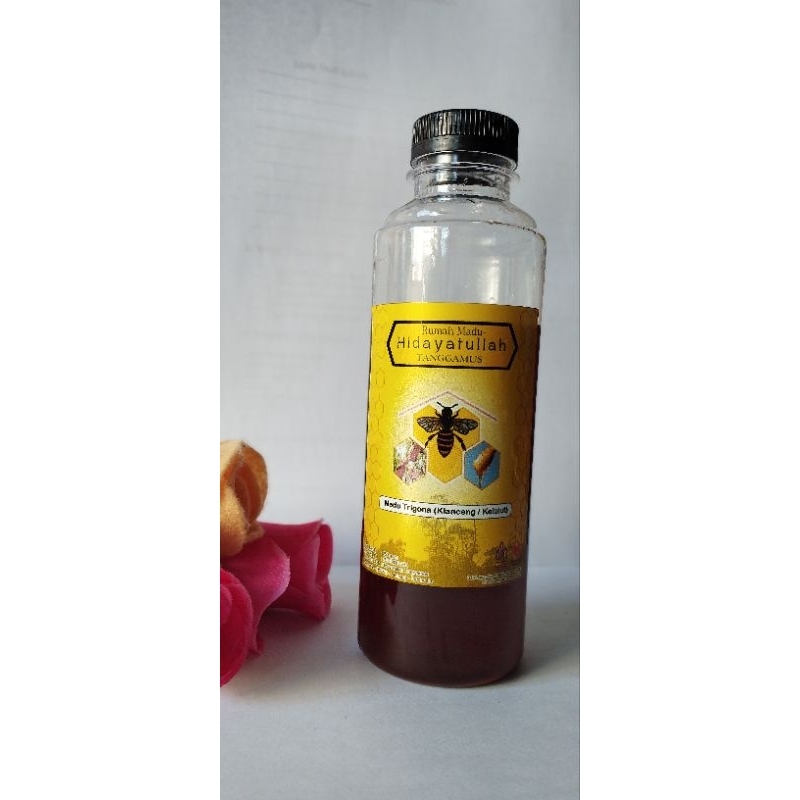 

Madu Klanceng / Madu Trigona / Madu Kelulut