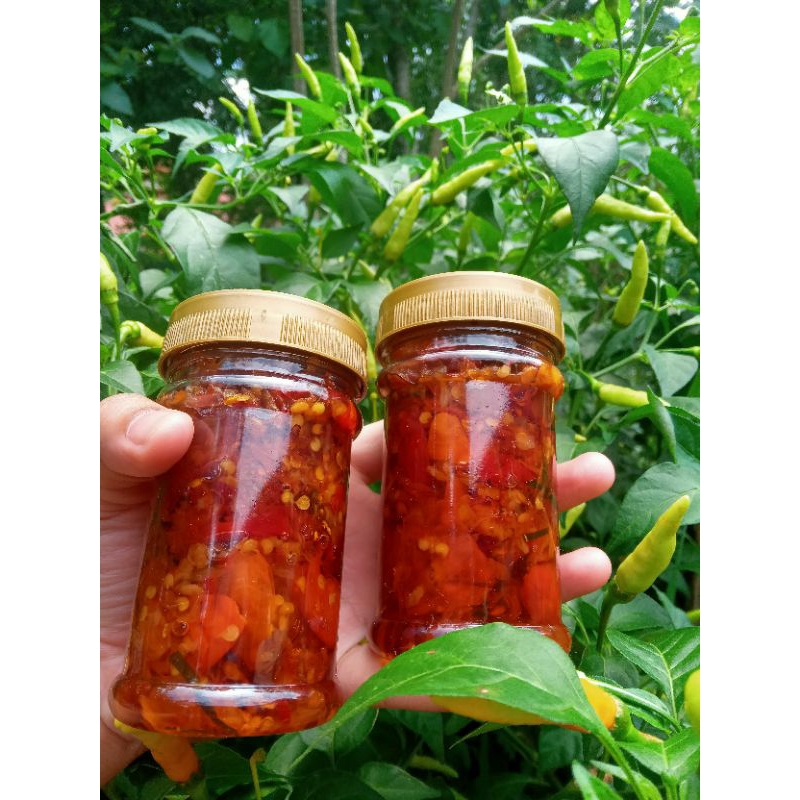 

sambel rawit cumi
