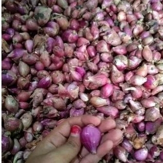 

bawang merah jawa 1kg