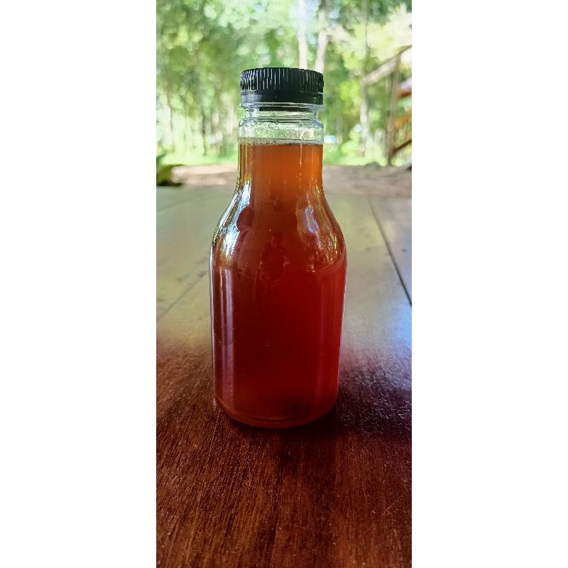 

MADU KELULUT / TRIGONA ITAMA (375 Gram)