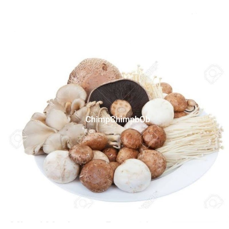 

MIXED MUSHROOM FRESH 1 KG / JAMUR CAMPUR SEGAR 1 KG / JAMUR SHABU SHABU