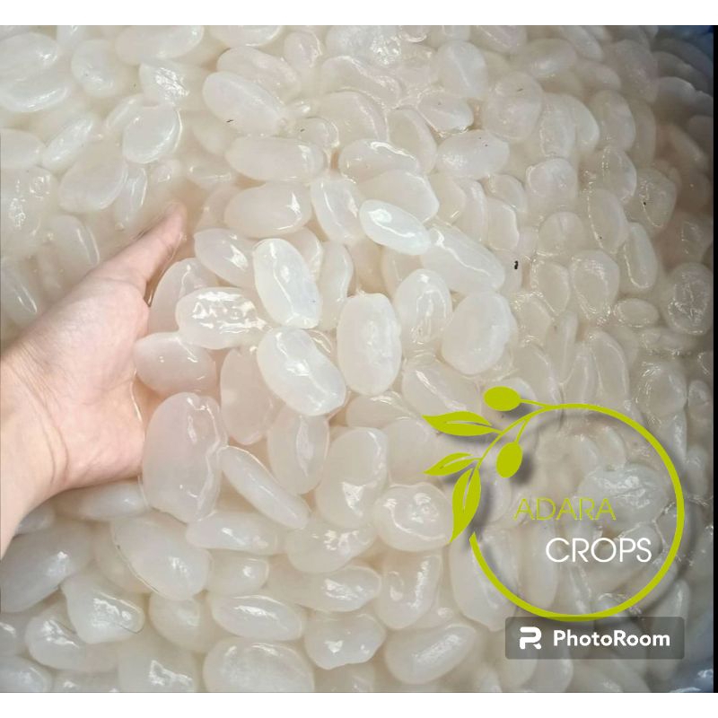 

Kolang Kaling Segar Bahan Manisan Terbaik 1Kg