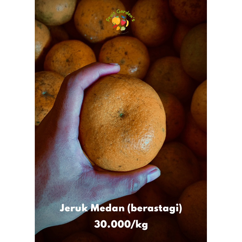 

Jeruk Medan (berastagi) 1kg