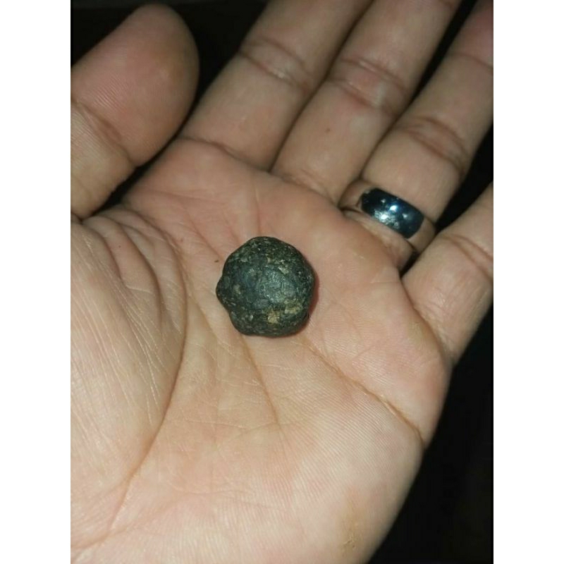 Kumuro Badar Besi Asli Alami