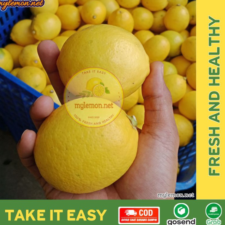 

MURAH LEBAY Lemon California Fresh 1 Kg 1 gram Isi 813 Cocok Untuk Infused Water MYLEMONNET