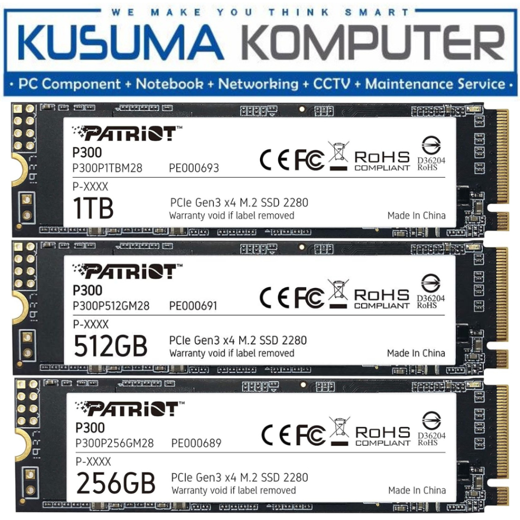 SSD Patriot P300 M.2 NVMe Gen3x4 1TB / 512GB / 256GB