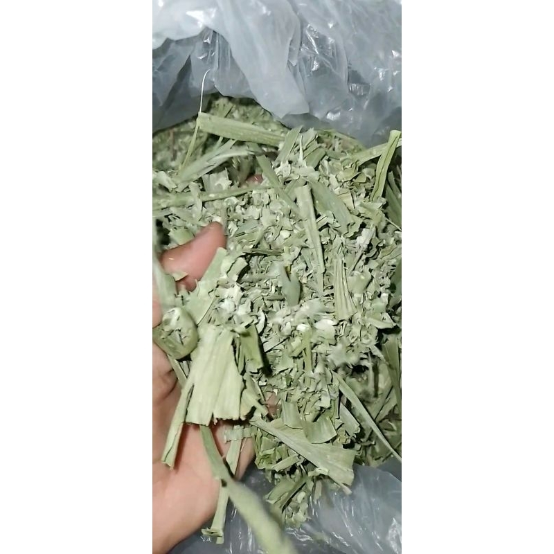 Hay rumput odot Rumput odot kering (100g)