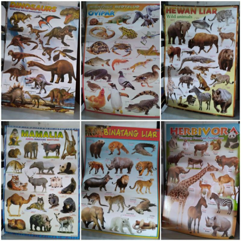 POSTER EDUKASI ANAK SERI BINATANG