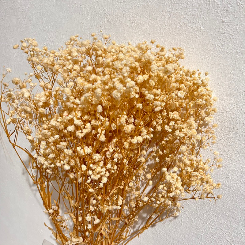 BABY BREATH BUNGA KERING