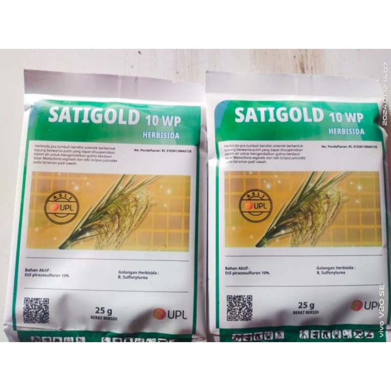 Satigold 10 WP