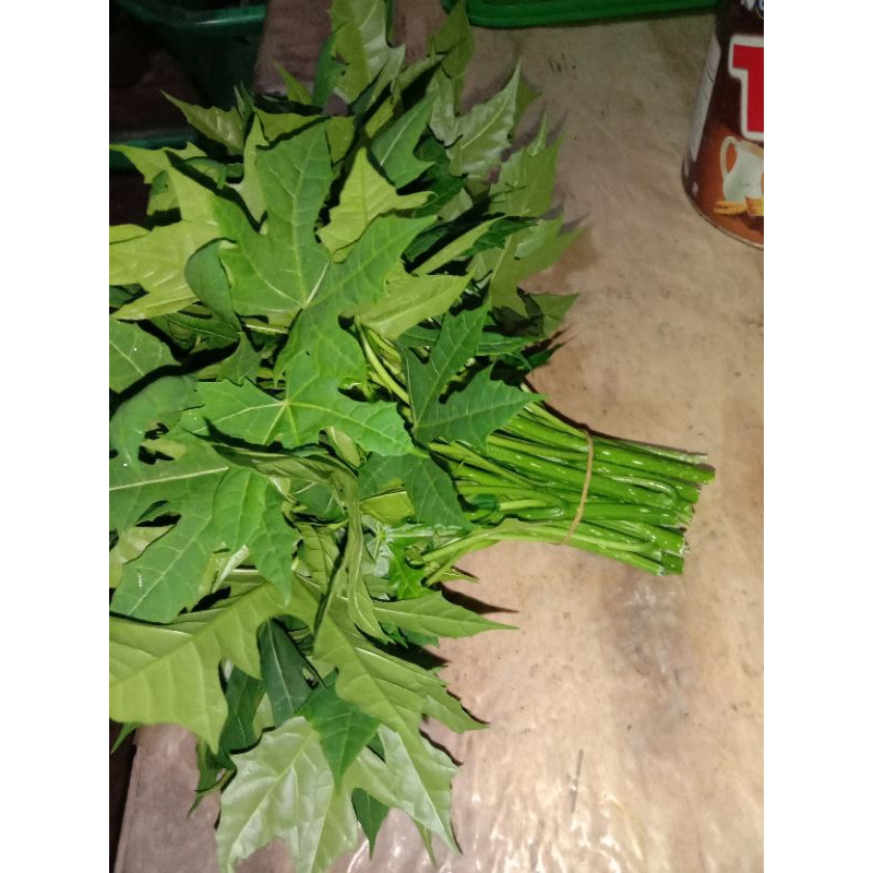 

Dau Gedi Segar Sayuran 250 gr