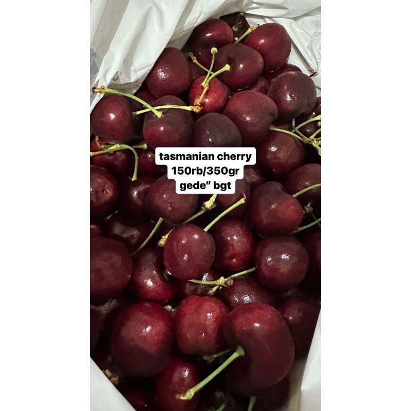 

Cherry tasmanian [250gr]