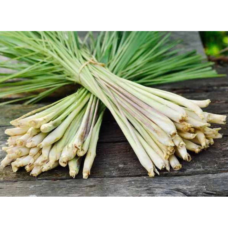 

serai segar 250 gram