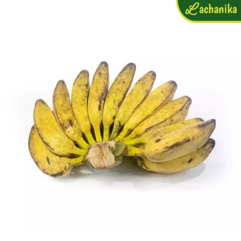 

Pisang Kepok per Sisir