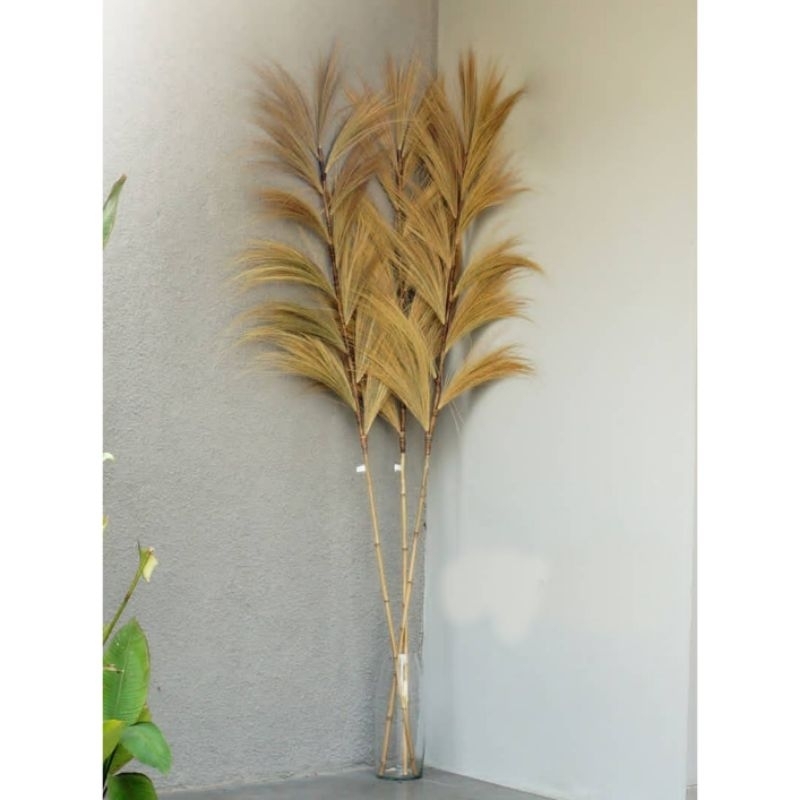 Rayung stik / bunga kering aesthetic / Bunga rayung ulir