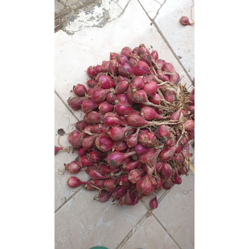 

bawang merah brebes 1kg