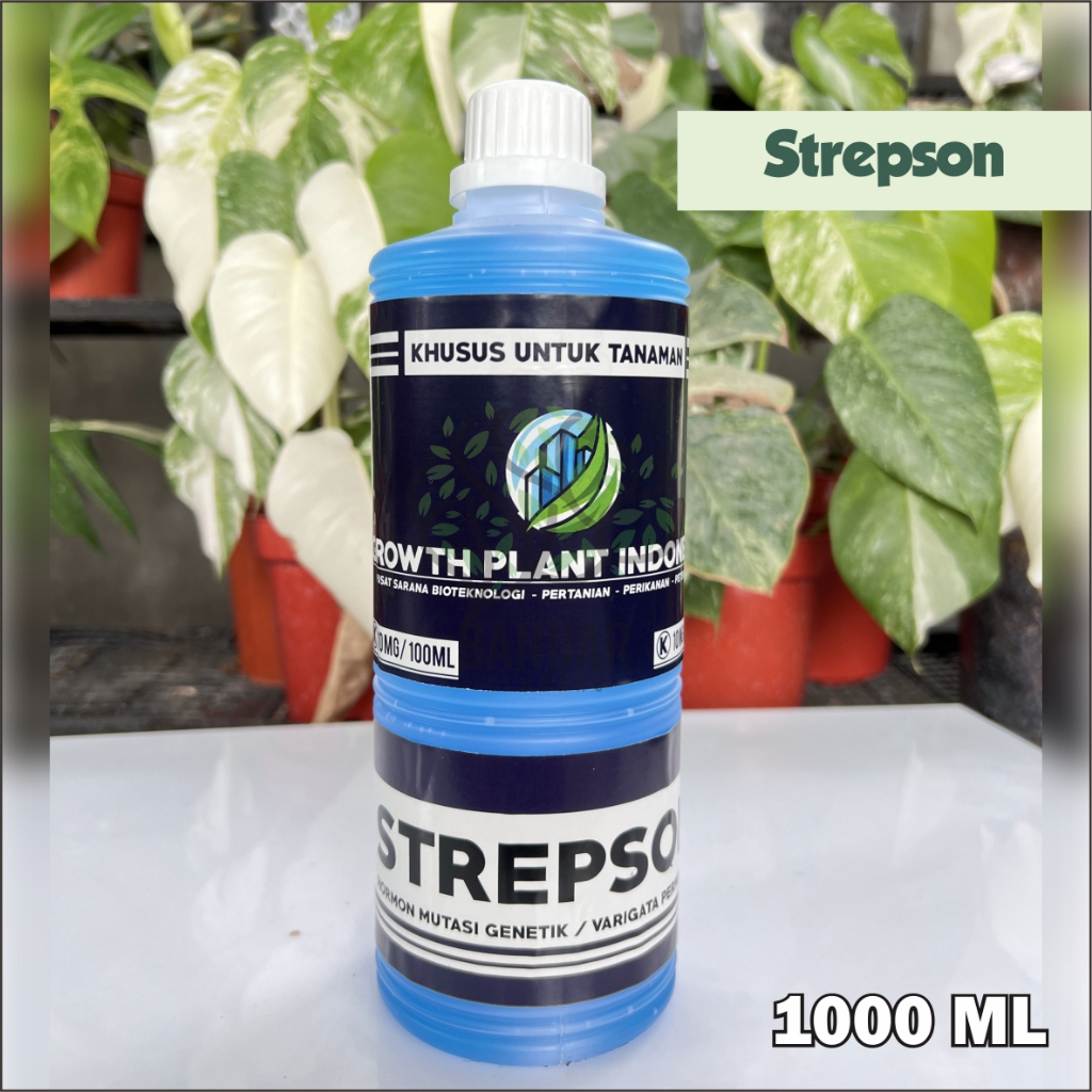 Hormon Pembuat Variegata Permanen Tanaman STREPSON 1 LIter Vitamin Mutasi