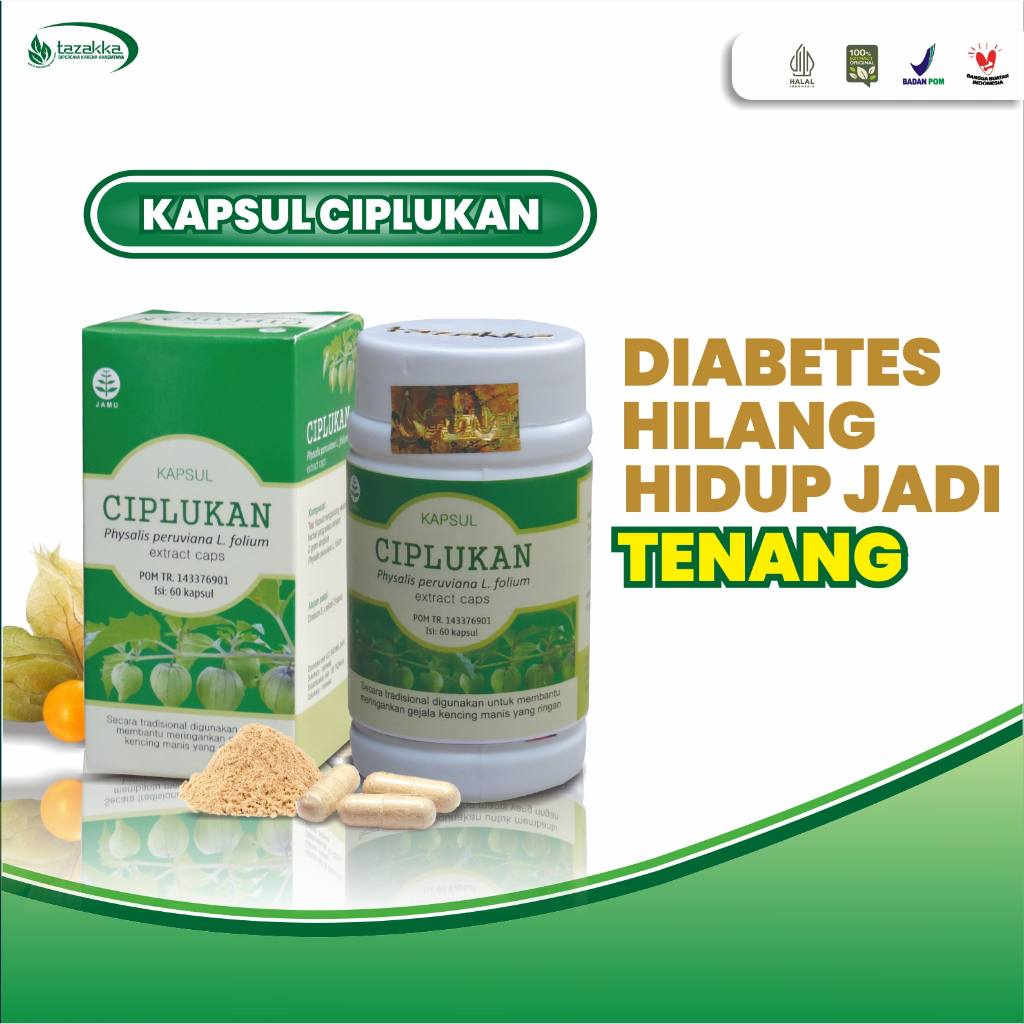 Ciplukan Buah Kering Ekstrak Herbal Tazakka Original Halal BPOM Isi 60 Kapsul Obat Diabetes Paling A