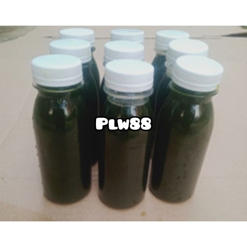 Essen walang sangit / esen walang sangit 250 ml